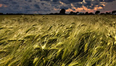 Site conditions for wind turbines