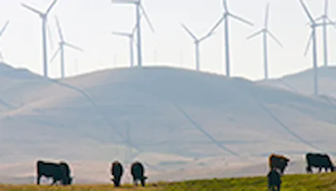 Siting and environmental studies for onshore wind and solar power